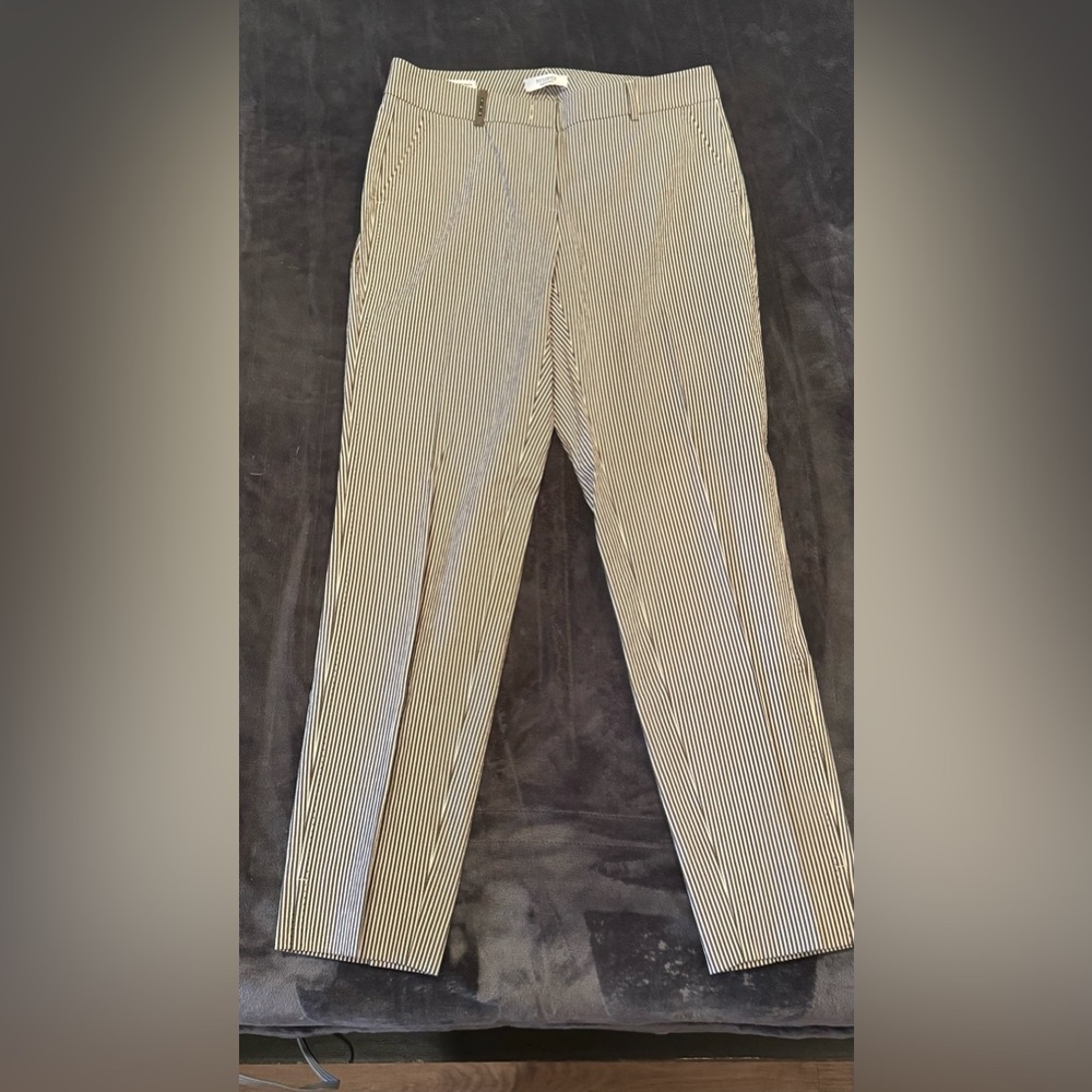 Peserico made in Italy Seersucker pants Size 42 / M / 10